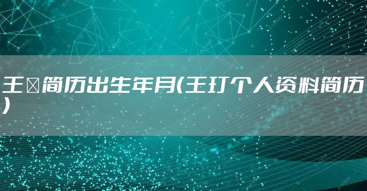 王霙简历出生年月（王玎个人资料简历）
