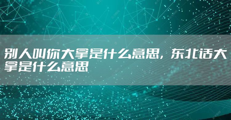 别人叫你大拿是什么意思,东北话大拿是什么意思