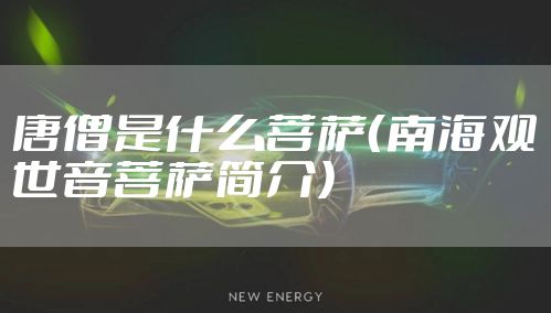 唐僧是什么菩萨（南海观世音菩萨简介）