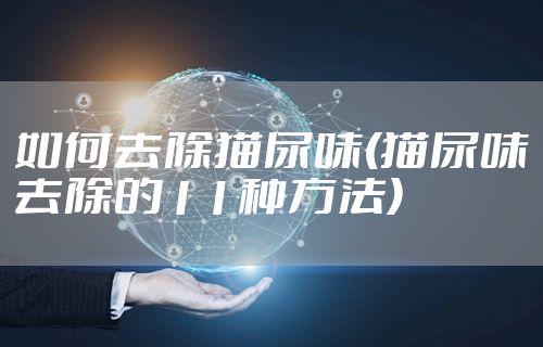 如何去除猫尿味(猫尿味去除的11种方法)