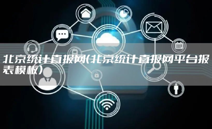 北京统计直报网(北京统计直报网平台报表模板)