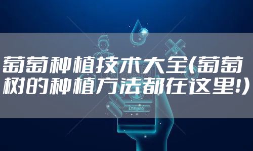 葡萄种植技术大全（葡萄树的种植方法都在这里！）