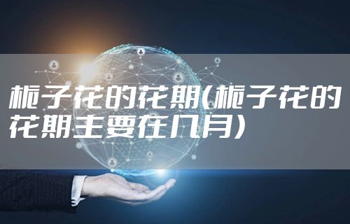 栀子花的花期（栀子花的花期主要在几月）