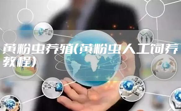 黄粉虫养殖（黄粉虫人工饲养教程）