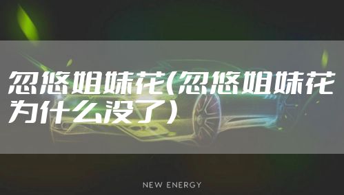 忽悠姐妹花（忽悠姐妹花为什么没了）