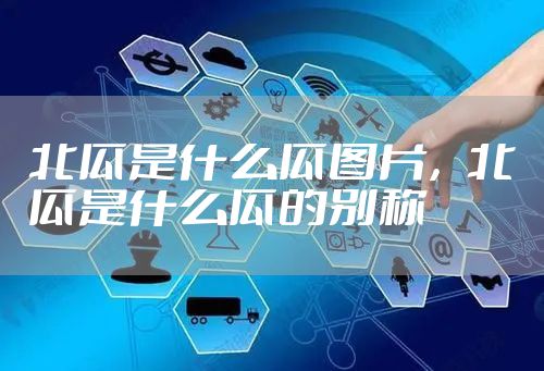 北瓜是什么瓜图片，北瓜是什么瓜的别称