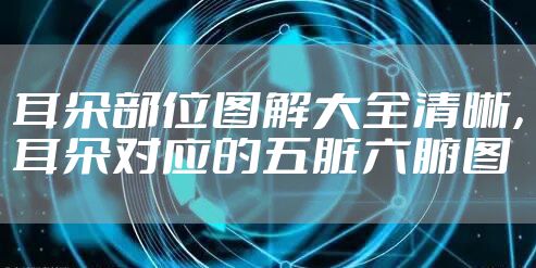 耳朵部位图解大全清晰，耳朵对应的五脏六腑图