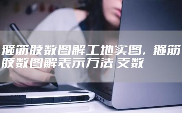 箍筋肢数图解工地实图，箍筋肢数图解表示方法 支数