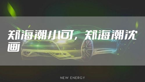 郑海潮小可，郑海潮沈画