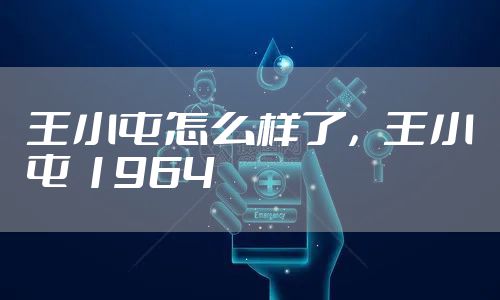 王小屯怎么样了，王小屯 1964