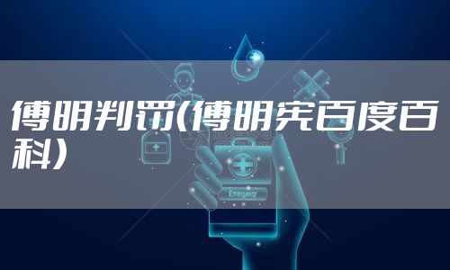 傅明判罚（傅明宪百度百科）