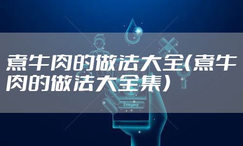 煮牛肉的做法大全(煮牛肉的做法大全集)