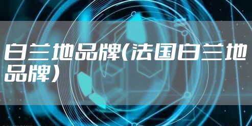 白兰地品牌(法国白兰地品牌)