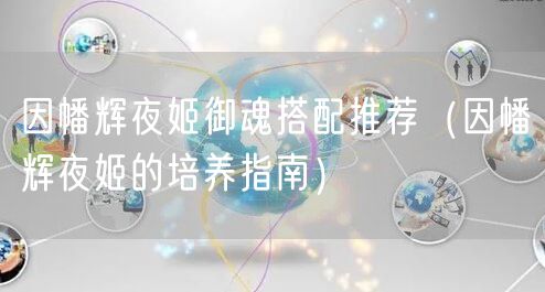 因幡辉夜姬御魂搭配推荐（因幡辉夜姬的培养指南）