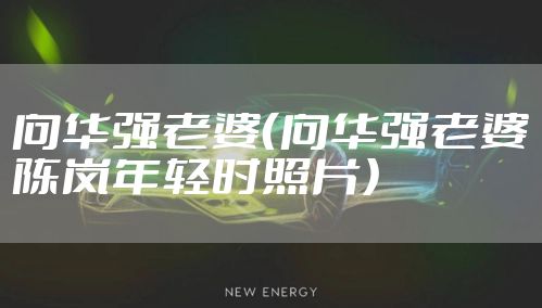 向华强老婆（向华强老婆陈岚年轻时照片）