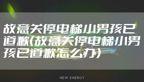 故意关停电梯小男孩已道歉(故意关停电梯小男孩已道歉怎么办)