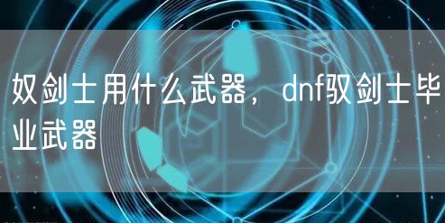 奴剑士用什么武器，dnf驭剑士毕业武器