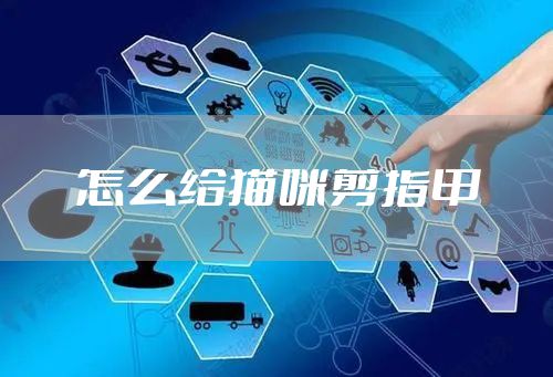 怎么给猫咪剪指甲