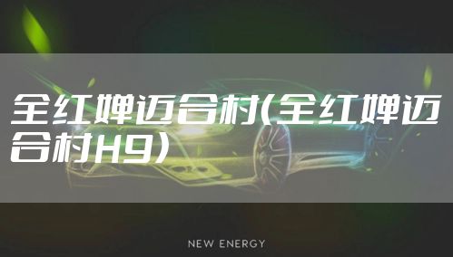 全红婵迈合村（全红婵迈合村H9）