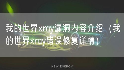 我的世界xray漏洞内容介绍(我的世界xray错误修复详情)