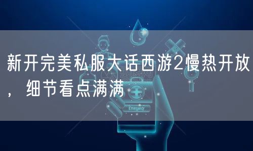 新开完美私服大话西游2慢热开放，细节看点满满