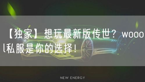 【独家】想玩最新版传世？woool私服是你的选择！