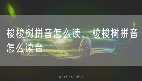 梭梭树拼音怎么读，梭梭树拼音怎么读音