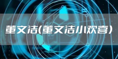 董文洁(董文洁小欢喜)