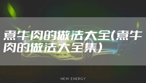 煮牛肉的做法大全（煮牛肉的做法大全集）