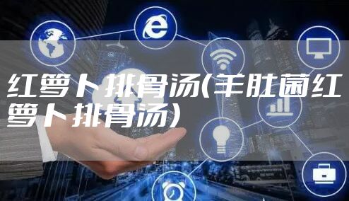 红萝卜排骨汤（羊肚菌红萝卜排骨汤）