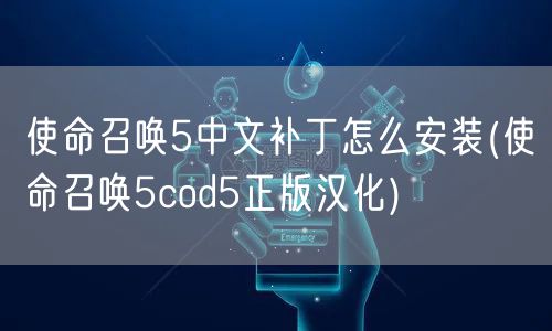 使命召唤5中文补丁怎么安装(使命召唤5cod5正版汉化)