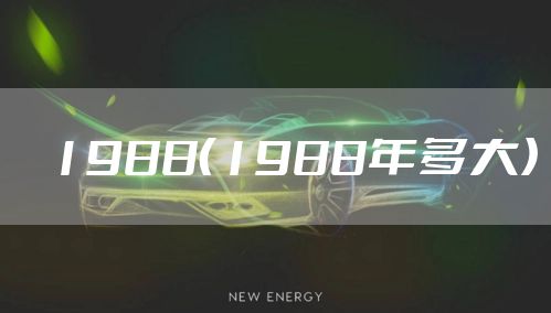 1988（1988年多大）