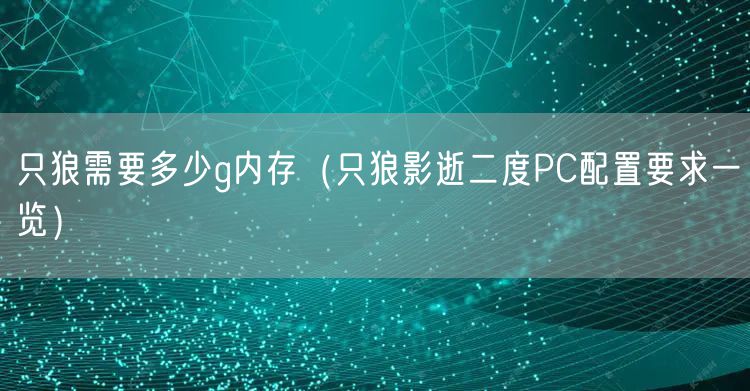 只狼需要多少g内存（只狼影逝二度PC配置要求一览）