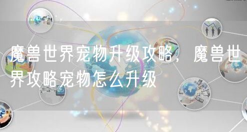魔兽世界宠物升级攻略，魔兽世界攻略宠物怎么升级