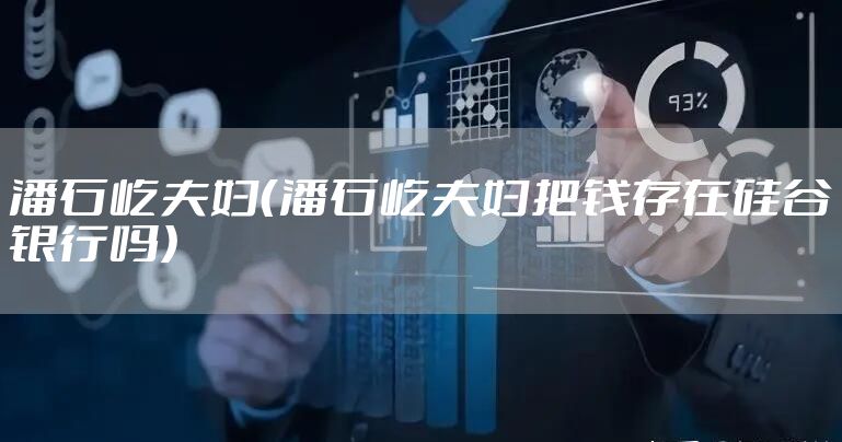 潘石屹夫妇（潘石屹夫妇把钱存在硅谷银行吗）