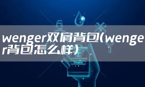 wenger双肩背包（wenger背包怎么样）