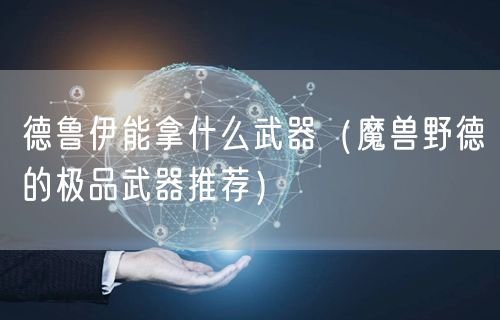 德鲁伊能拿什么武器（魔兽野德的极品武器推荐）