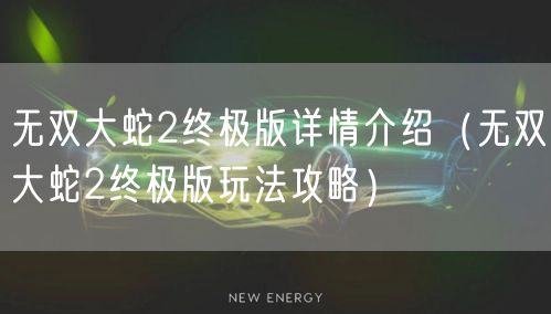 无双大蛇2终极版详情介绍(无双大蛇2终极版玩法攻略)