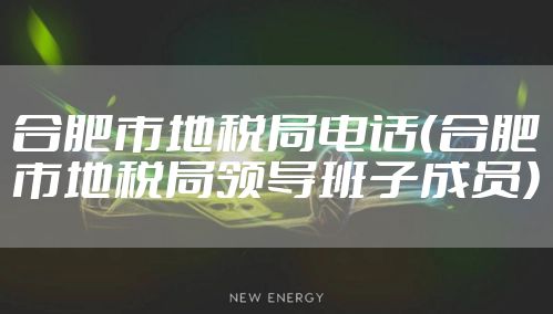 合肥市地税局电话（合肥市地税局领导班子成员）