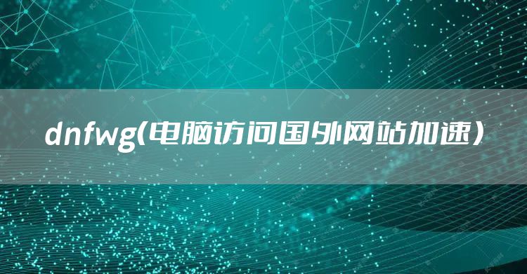 dnfwg（电脑访问国外网站加速）