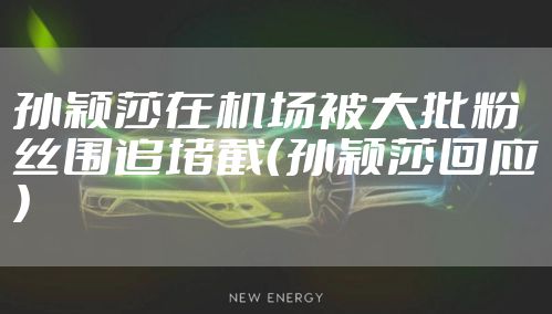 孙颖莎在机场被大批粉丝围追堵截（孙颖莎回应）