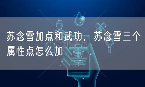 苏念雪加点和武功，苏念雪三个属性点怎么加