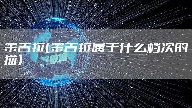 金吉拉（金吉拉属于什么档次的猫）