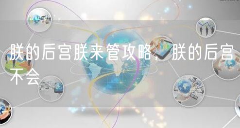 朕的后宫朕来管攻略，朕的后宫不会