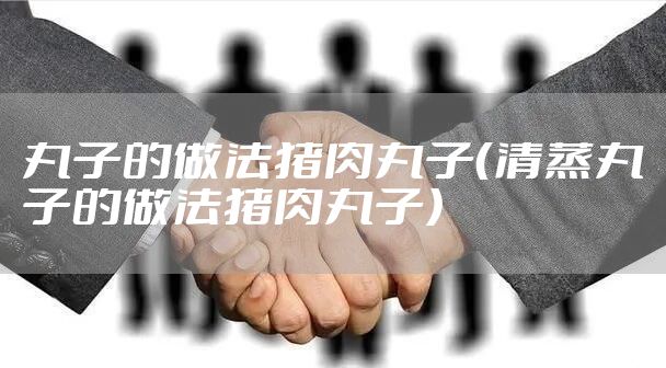 丸子的做法猪肉丸子（清蒸丸子的做法猪肉丸子）