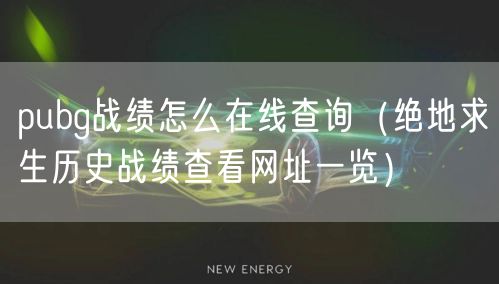 pubg战绩怎么在线查询（绝地求生历史战绩查看网址一览）