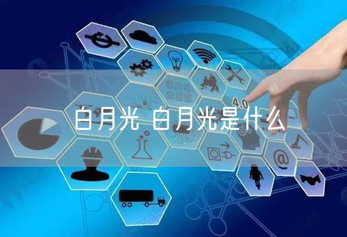 白月光 白月光是什么