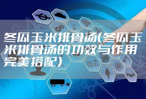 冬瓜玉米排骨汤（冬瓜玉米排骨汤的功效与作用 完美搭配）