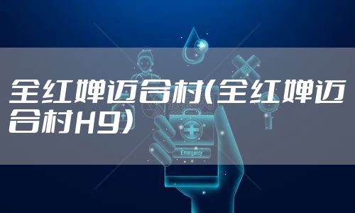 全红婵迈合村(全红婵迈合村H9)