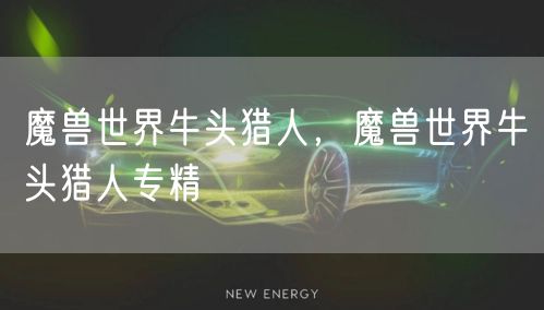 魔兽世界牛头猎人，魔兽世界牛头猎人专精